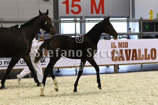 PRINCESS LIESA_MILANO_2010_SS3_7437.jpg